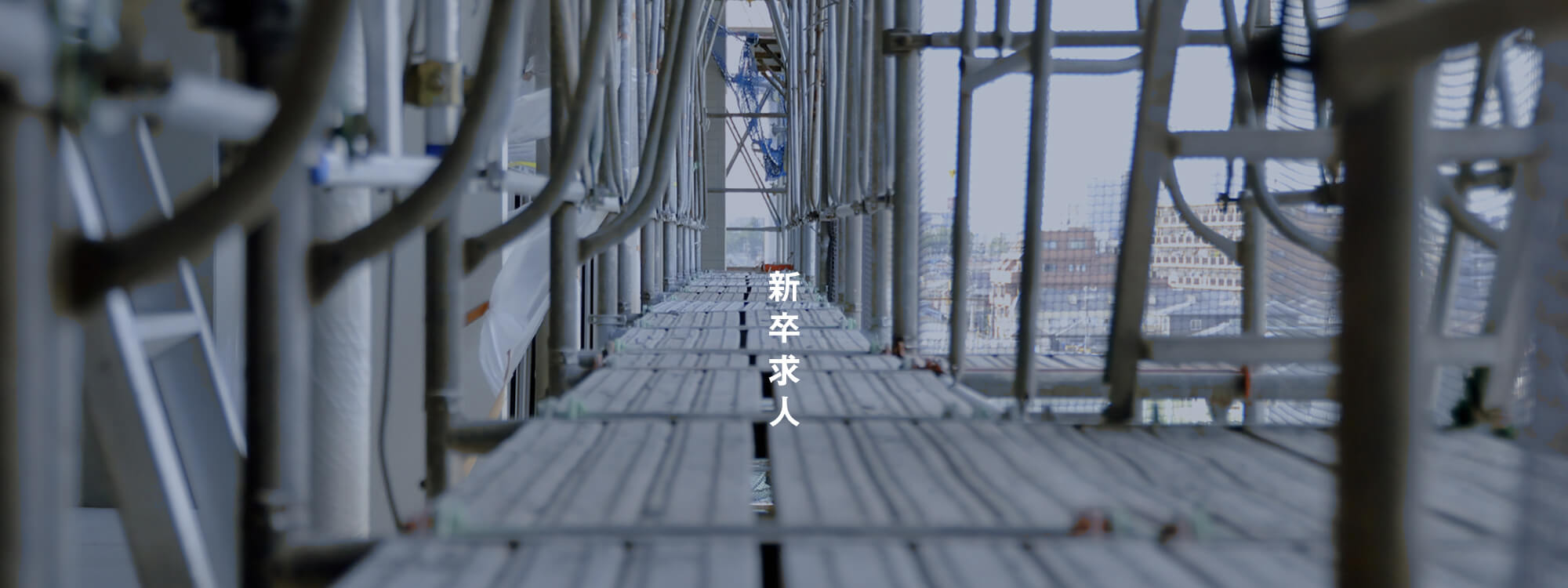 新卒求人